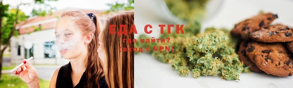 СК Гусь-Хрустальный