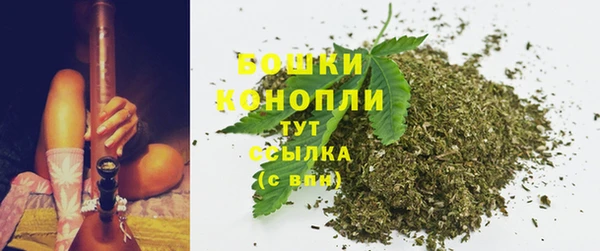 таблы Няндома