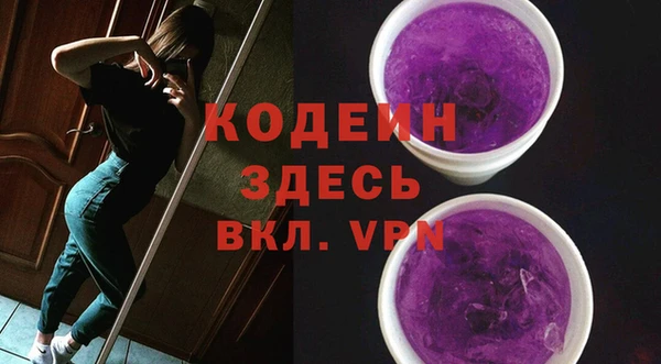 СК Гусь-Хрустальный