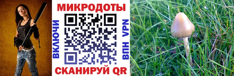 Псилоцибиновые грибы ЛСД  купить наркотик  Саянск 