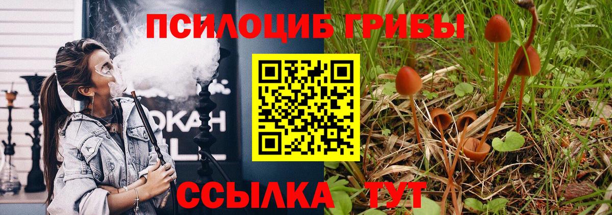 Меф мяу мяу Саянск