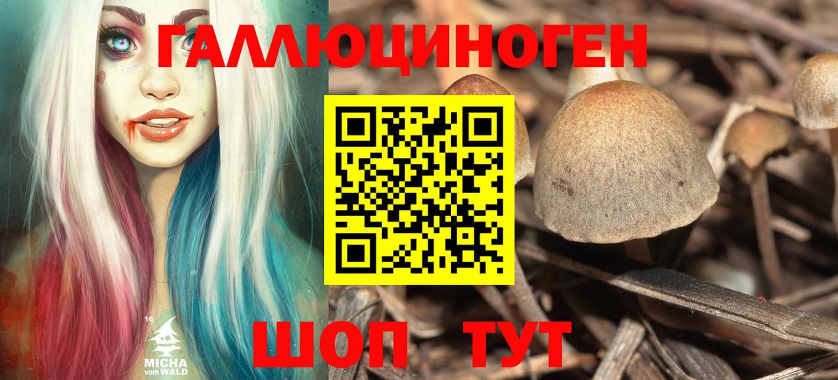 Галлюциногенные грибы MAGIC MUSHROOMS  Вход с VPN  Саянск 